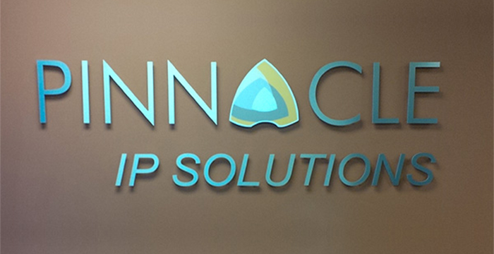 PINNOCLE IP SOLUTIONS Personalized Acrylic Wall Letters for Reception Walls