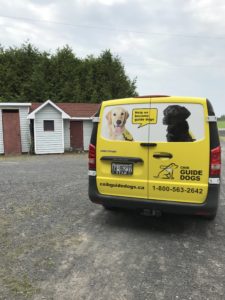Guide dogs van wraps graphics