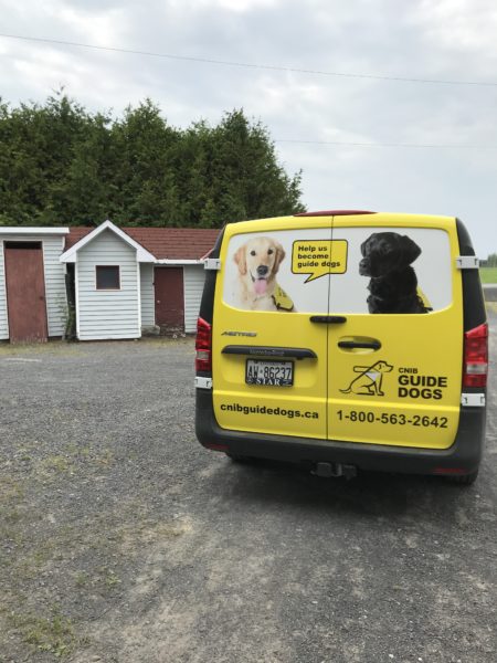 Guide Dogs Van Wraps