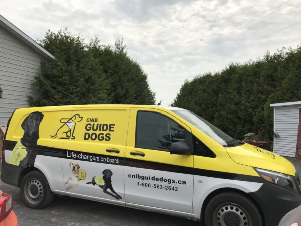 Vehicle Wraps